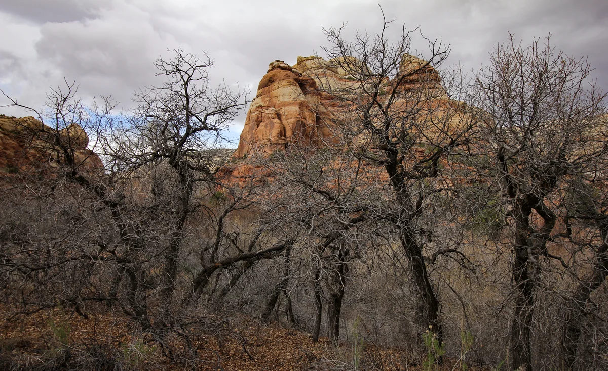 Lower Calf Creek Falls in Grand Staircase-Escalante, Garfield County