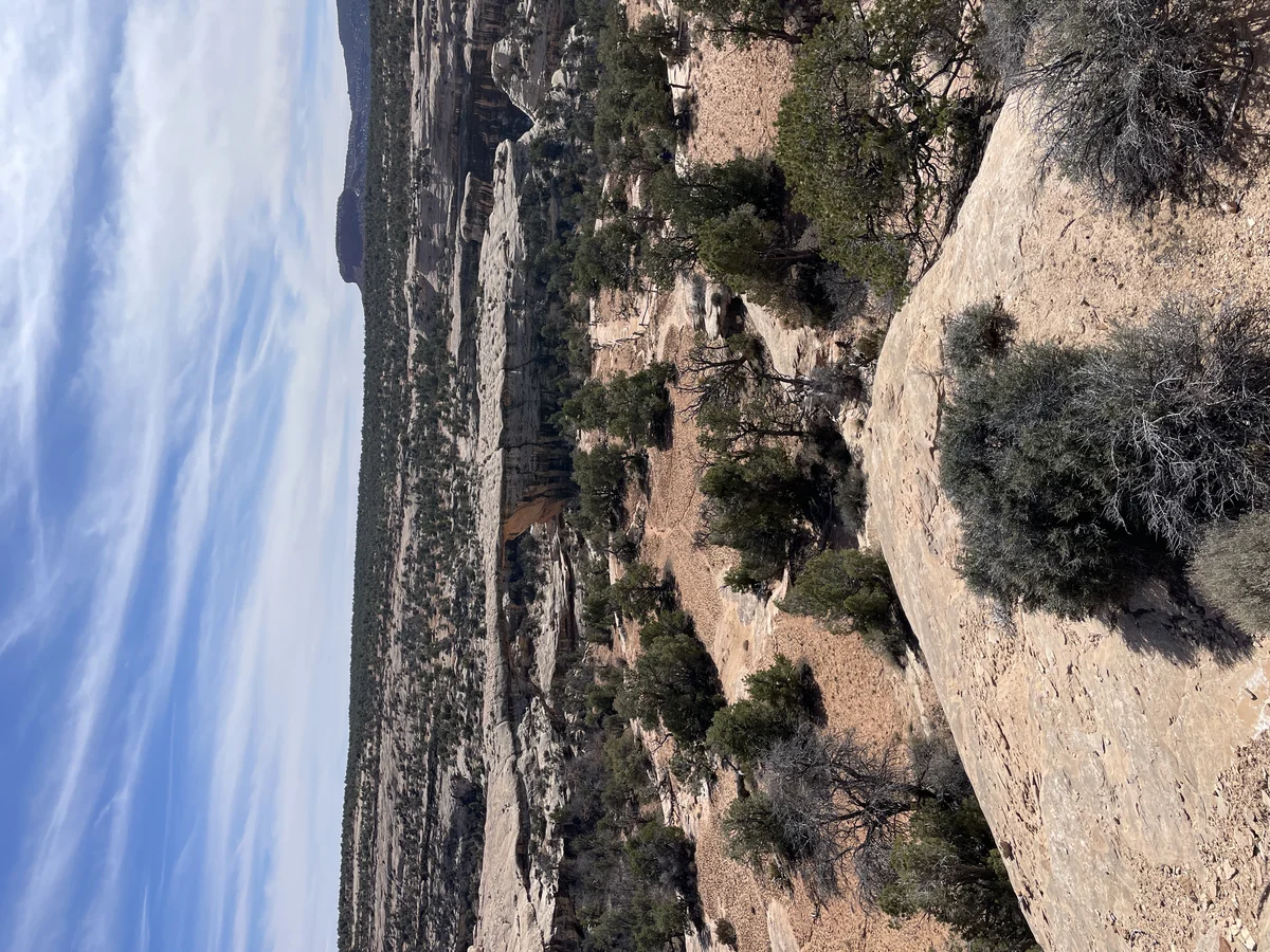 Owachomo Bridge natural rock span in Natural Bridges National Monument