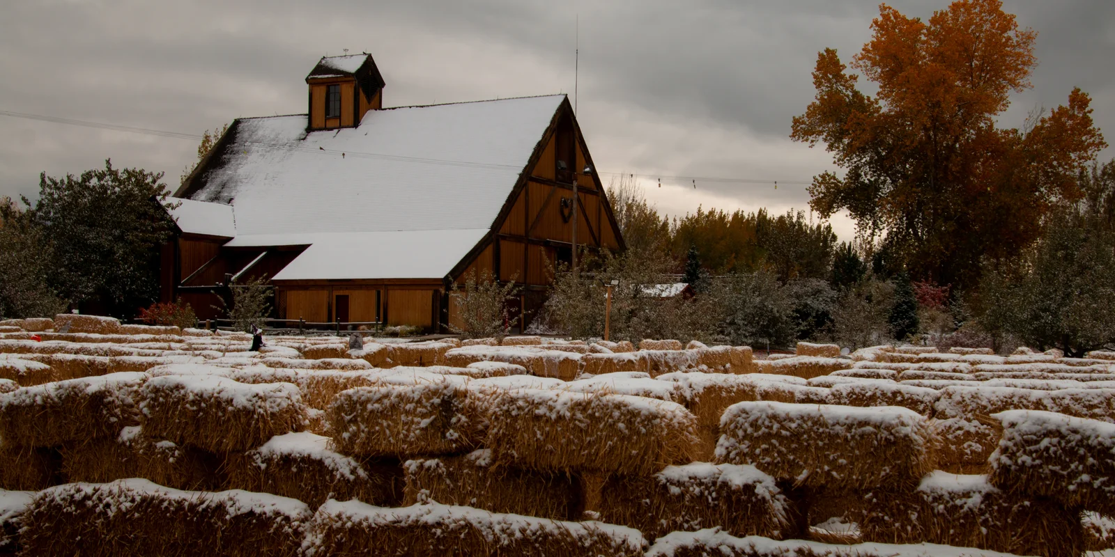 Historic Wheeler Farm activity barn and heritage grounds in Murray