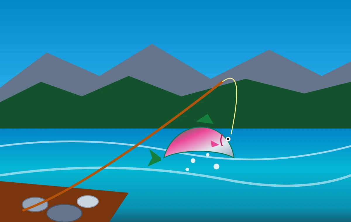 Representative illustration for Trout Creek Flies in Dutch John, Utah